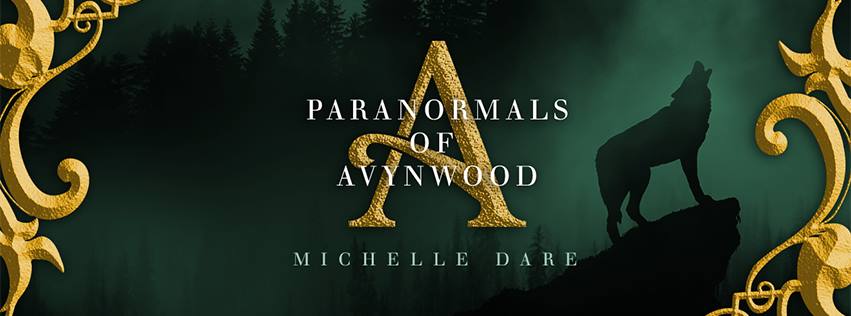 51769703_2086268131467788_7513009114901905408_n