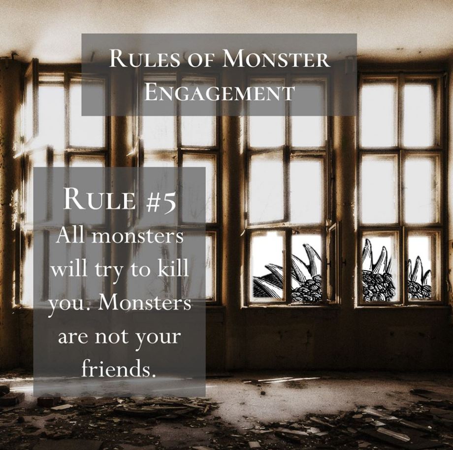 53430021_2284492328249533_1137654158589952000_n