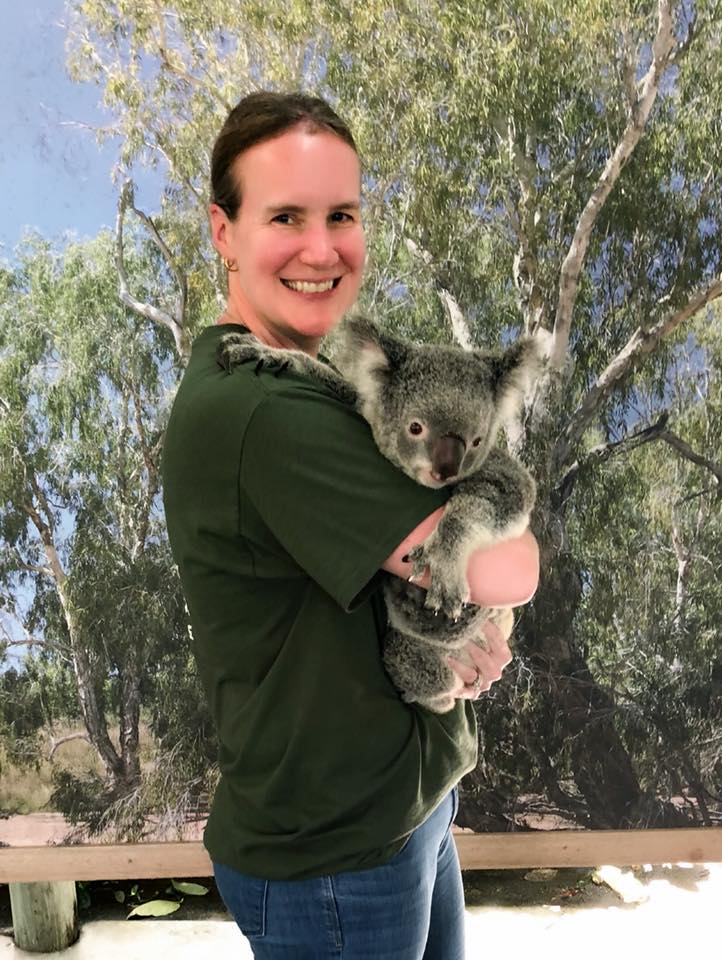 51983547_2366977030257994_4422163834802798592_n