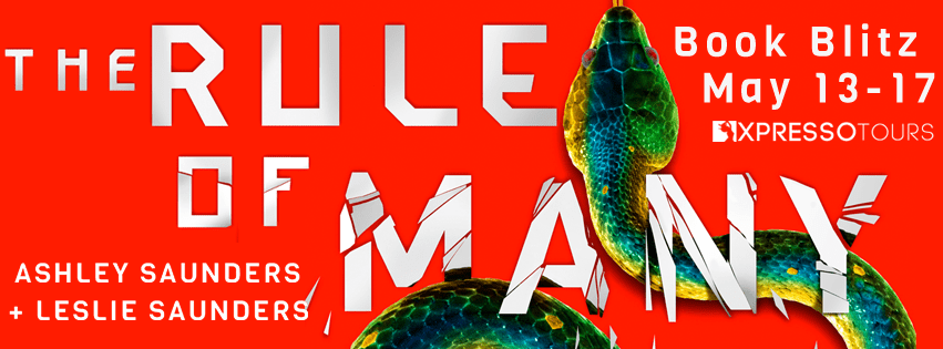 TheRuleOfManyBlitzBanner (1)[62723]