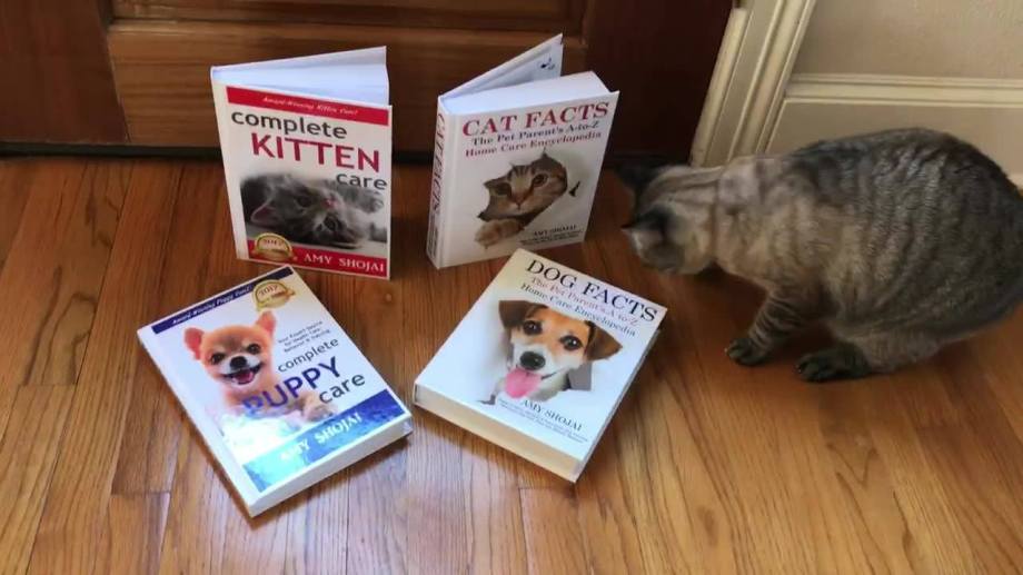 29872603_1733727216670190_6008336049460836568_o