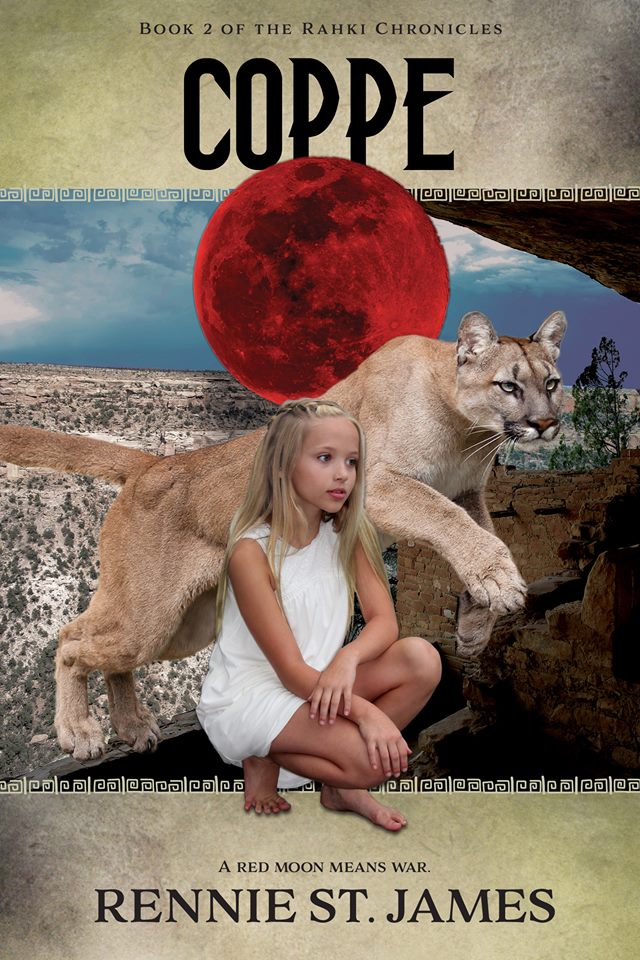 43788443_554010371701471_1141304348215607296_n